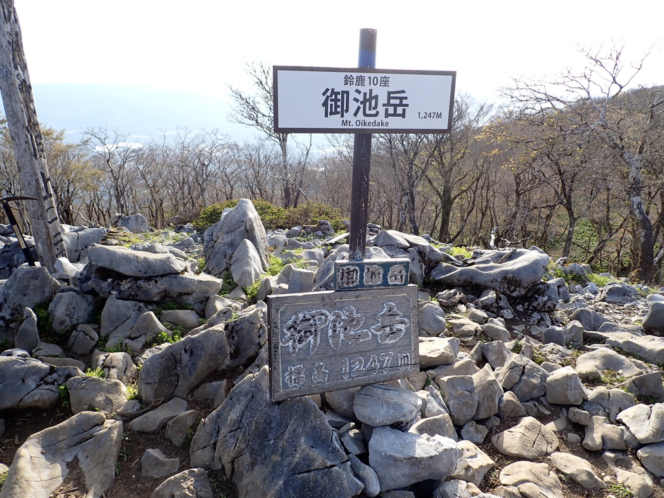 P5050486_mid.jpg