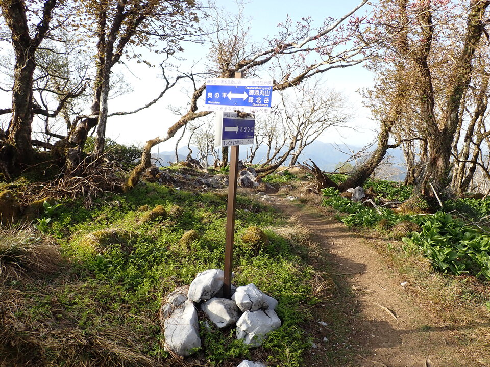 P5050494_mid.jpg