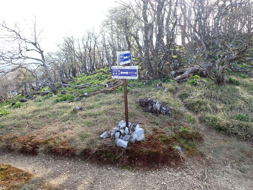 P5050501_mid.jpg