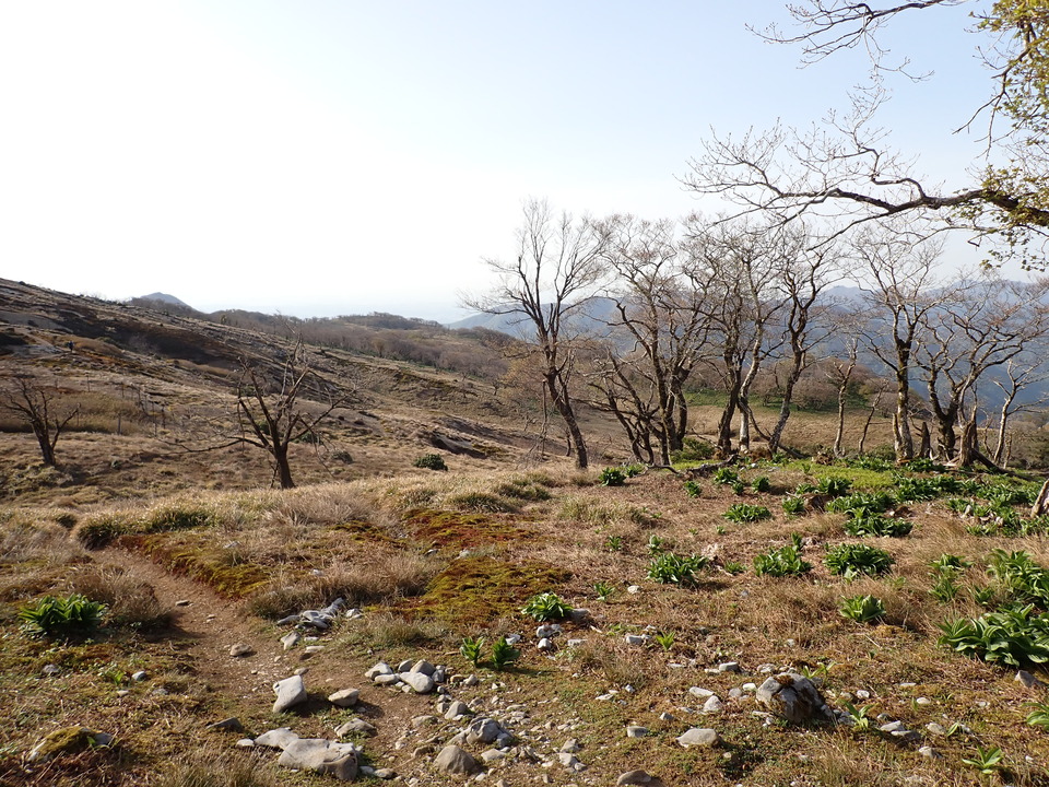 P5050506_mid.jpg