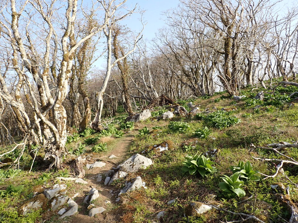 P5050508_mid.jpg