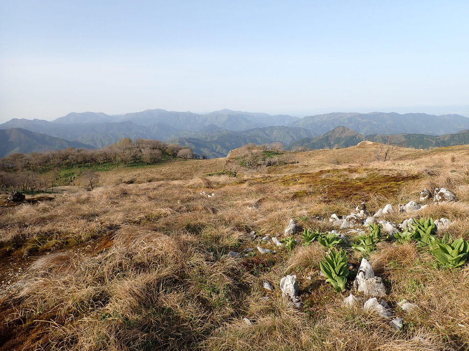 P5050515_mid.jpg