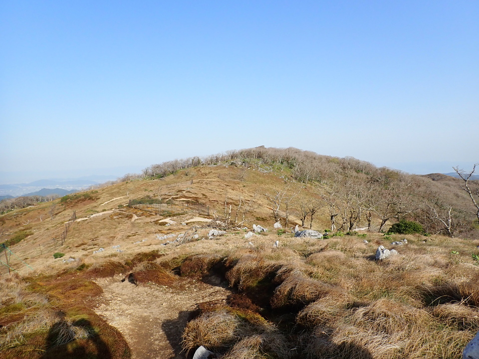 P5050517_mid.jpg