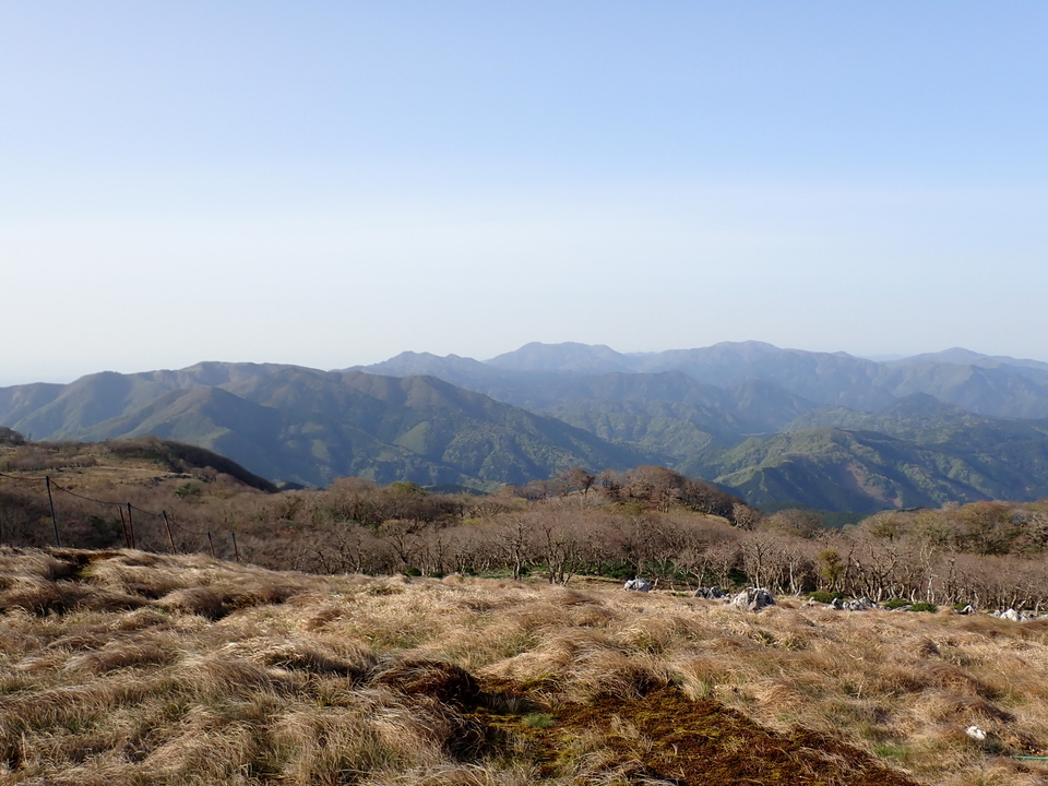 P5050524_mid.jpg