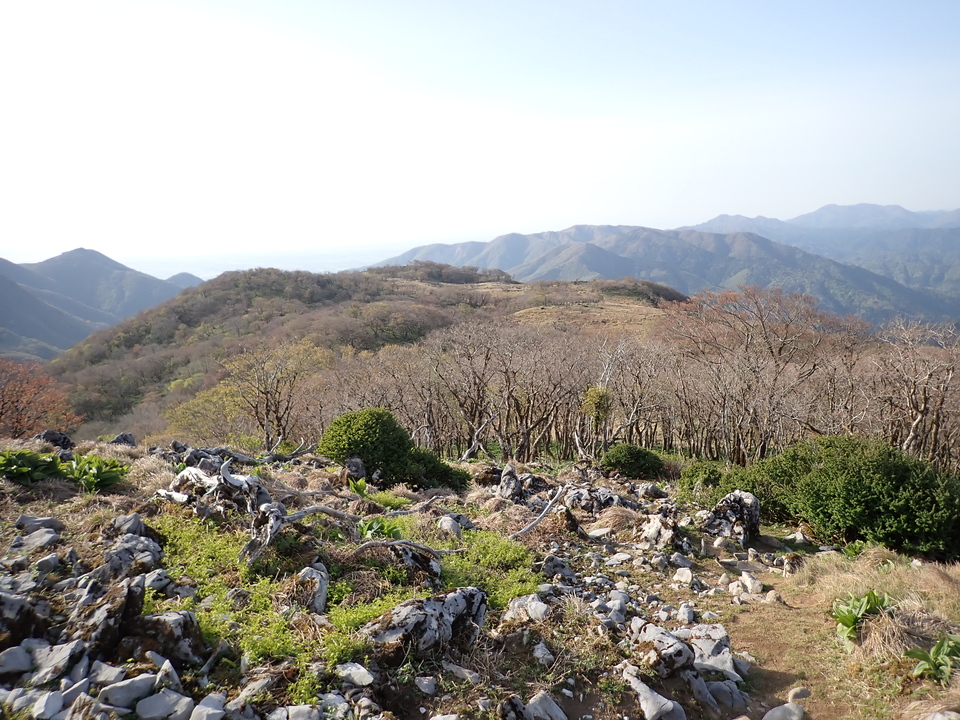 P5050537_mid.jpg