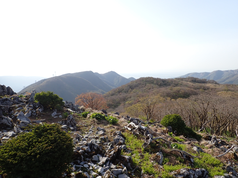 P5050538_mid.jpg