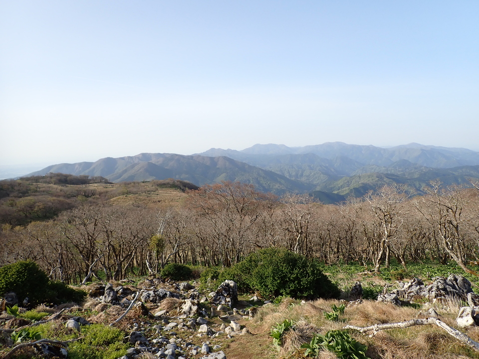 P5050539_mid.jpg