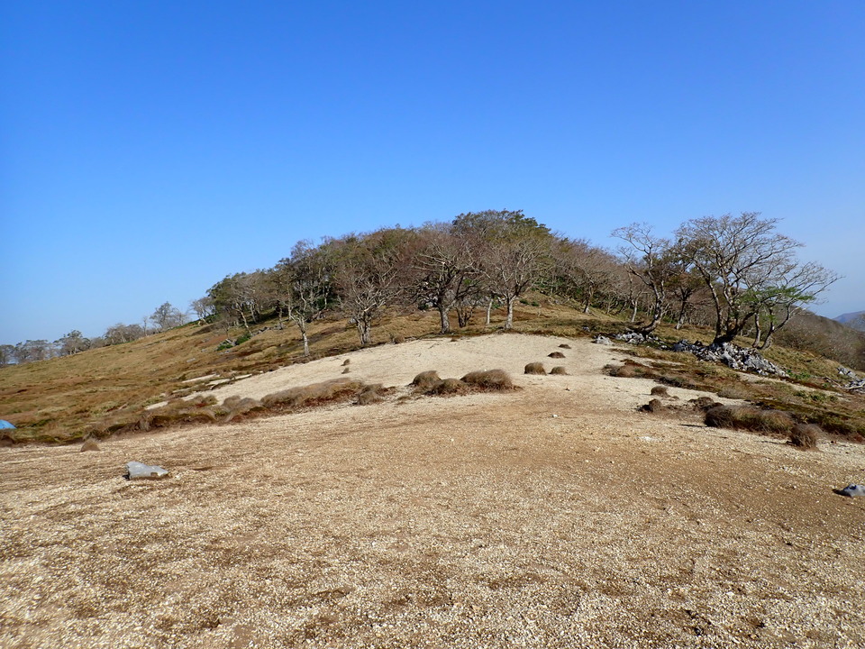 P5050545_mid.jpg
