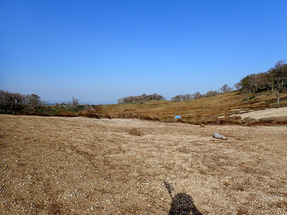 P5050546_mid.jpg