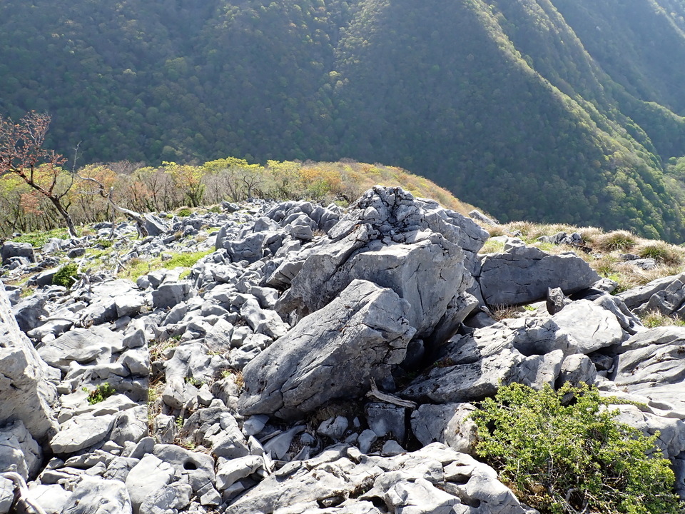 P5050548_mid.jpg