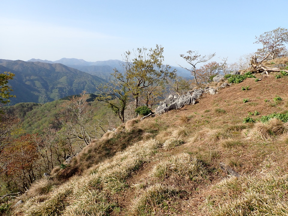 P5050556_mid.jpg