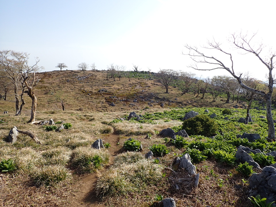 P5050559_mid.jpg