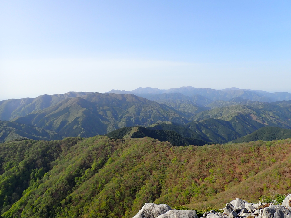 P5050564_mid.jpg