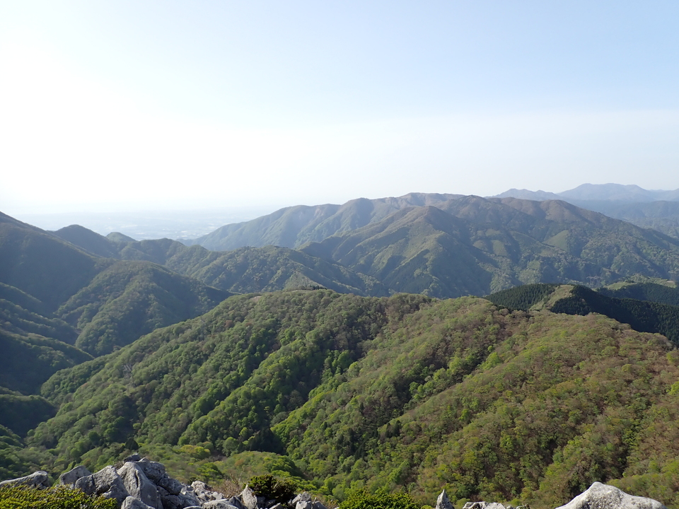 P5050565_mid.jpg