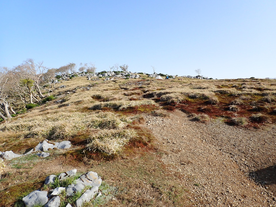 P5050578_mid.jpg