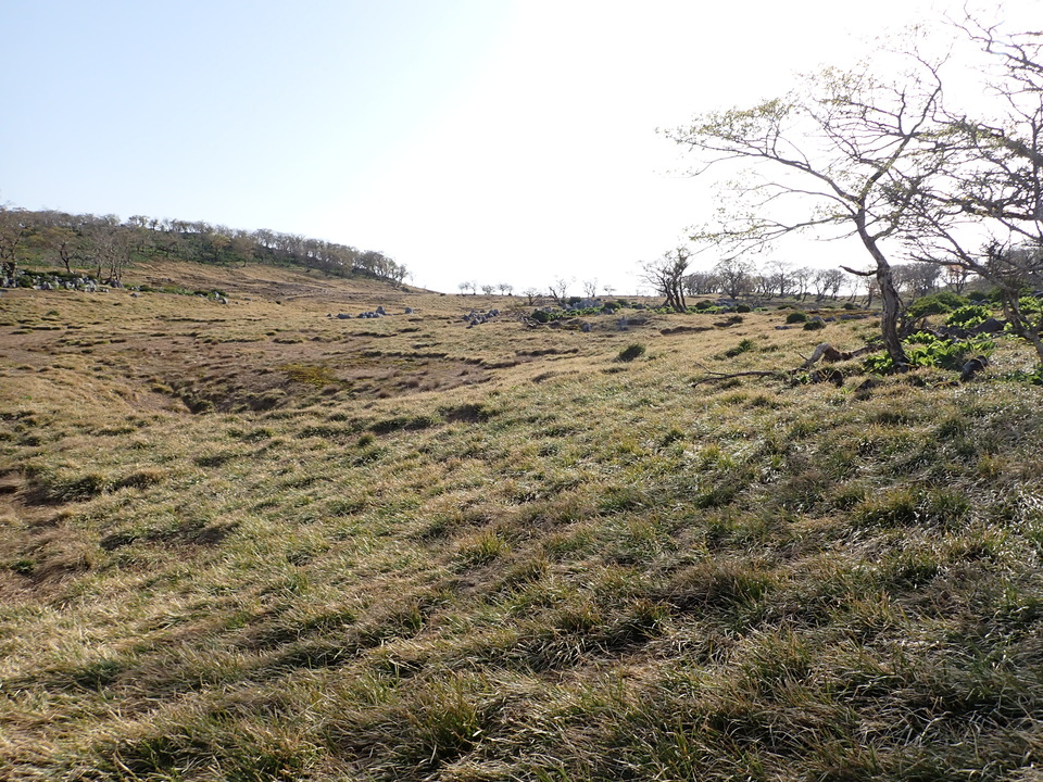 P5050581_mid.jpg