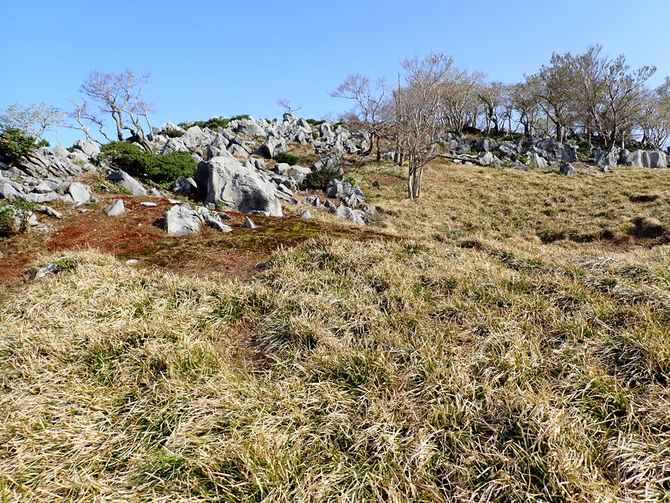 P5050583_mid.jpg
