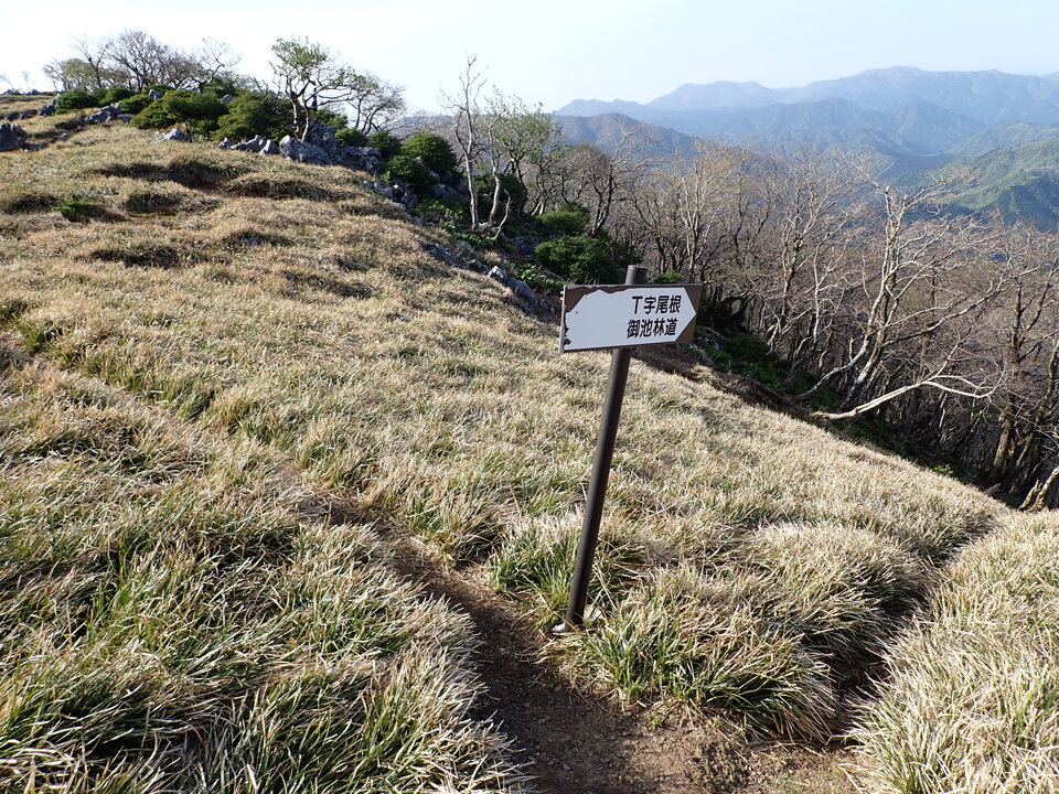 P5050584_mid.jpg