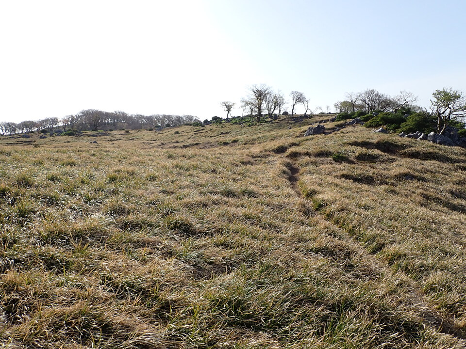 P5050585_mid.jpg