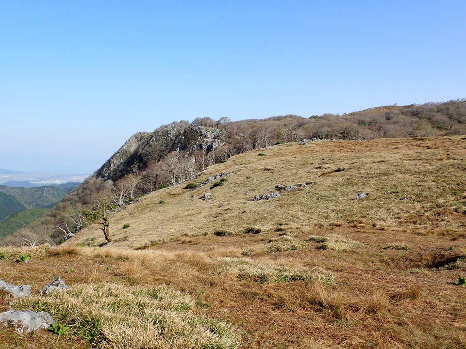 P5050586_mid.jpg