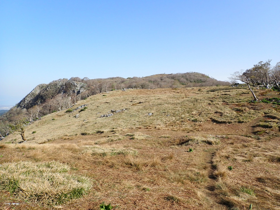 P5050589_mid.jpg