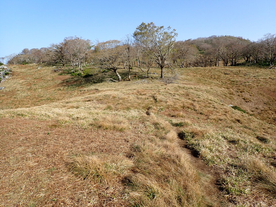 P5050591_mid.jpg
