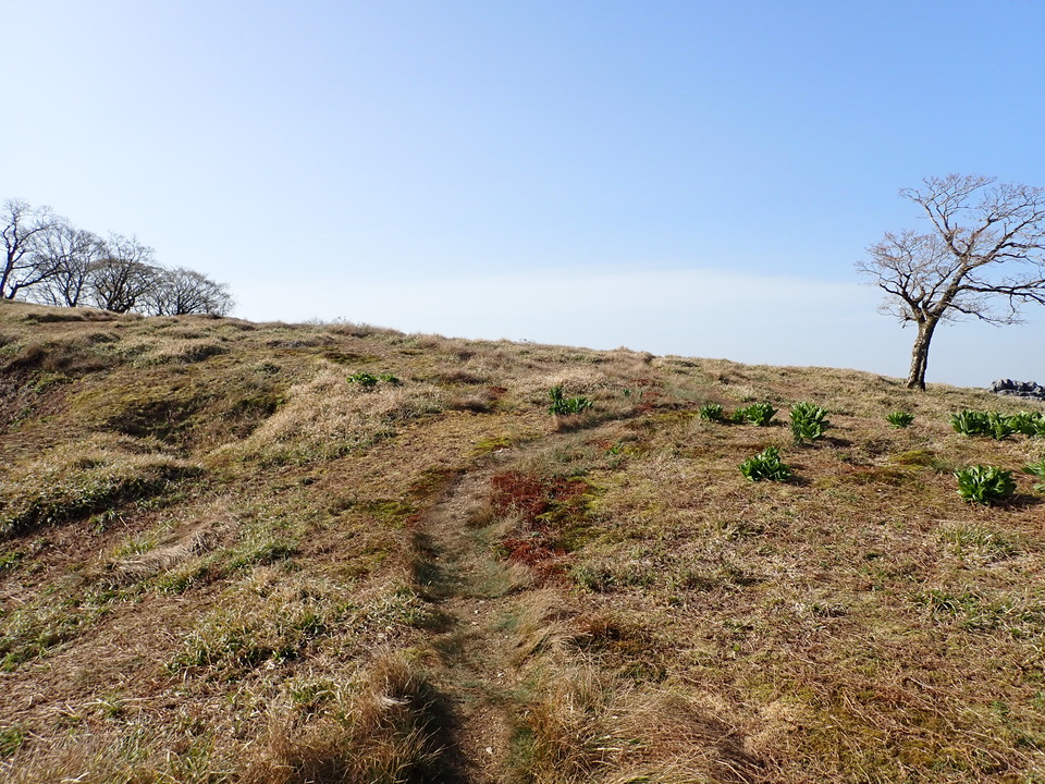 P5050594_mid.jpg