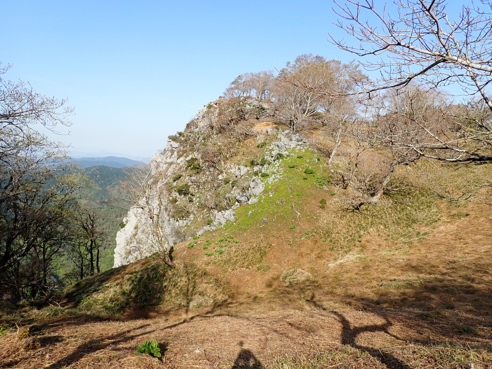 P5050596_mid.jpg