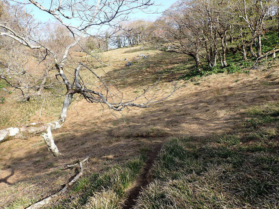 P5050598_mid.jpg
