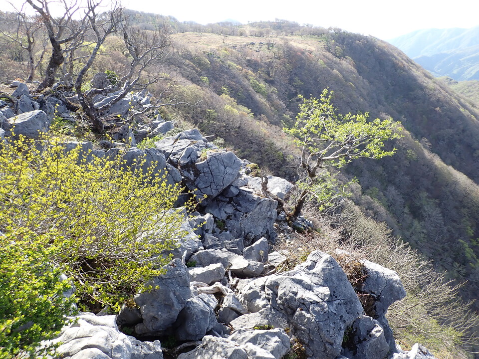 P5050603_mid.jpg