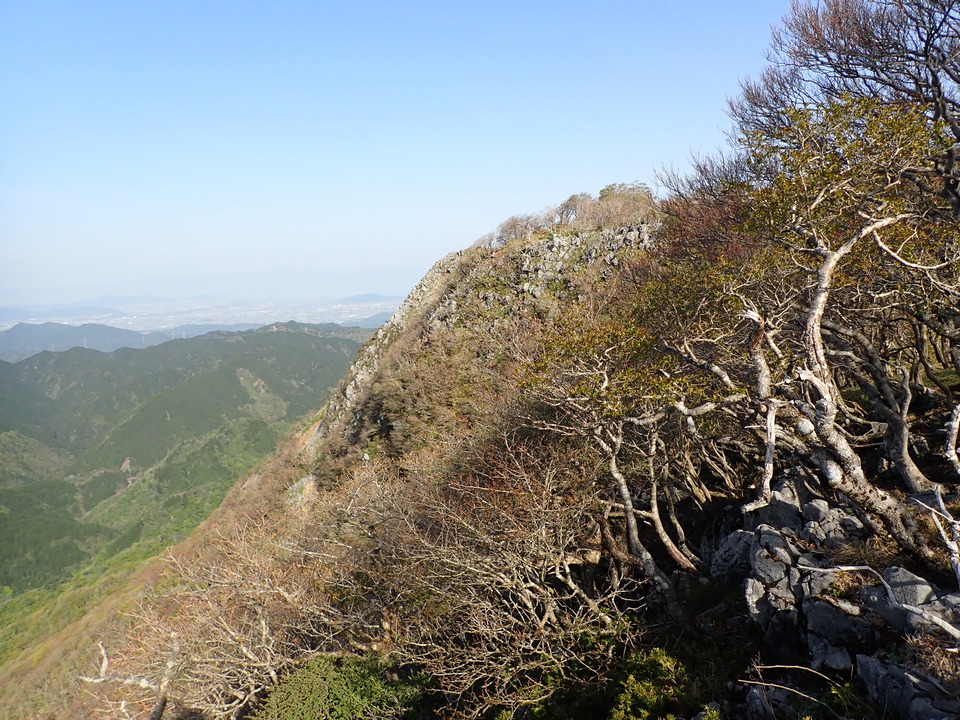 P5050605_mid.jpg