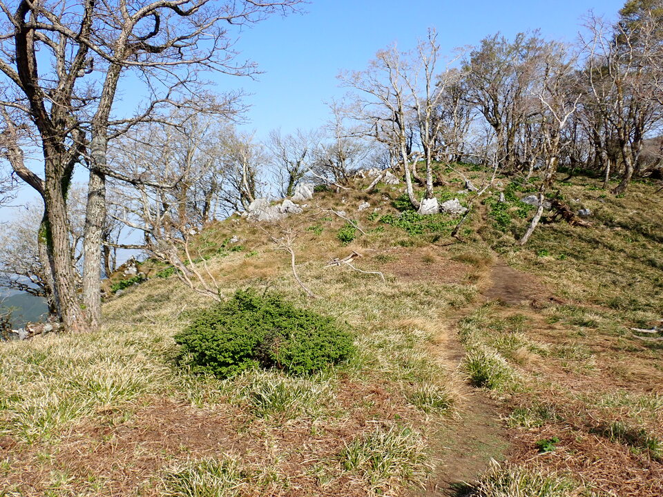 P5050611_mid.jpg