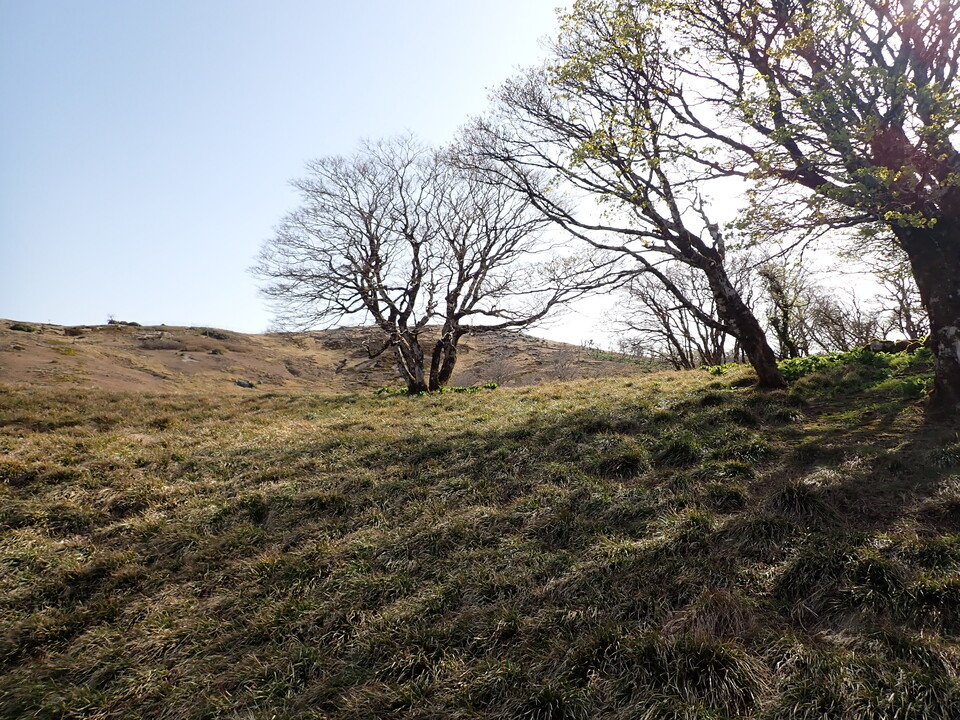 P5050617_mid.jpg