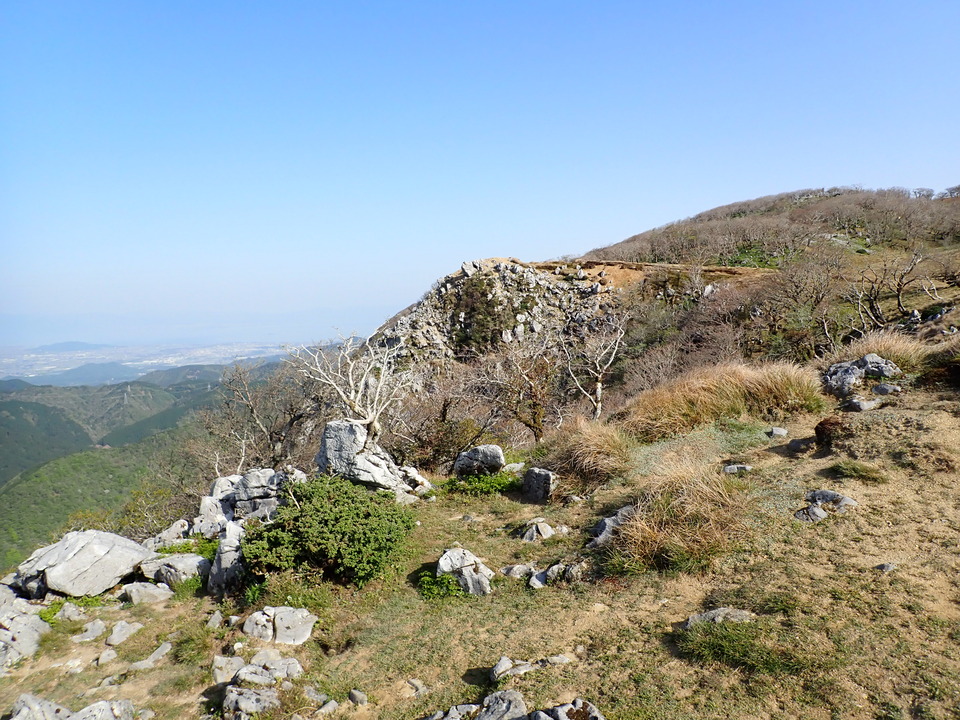 P5050626_mid.jpg