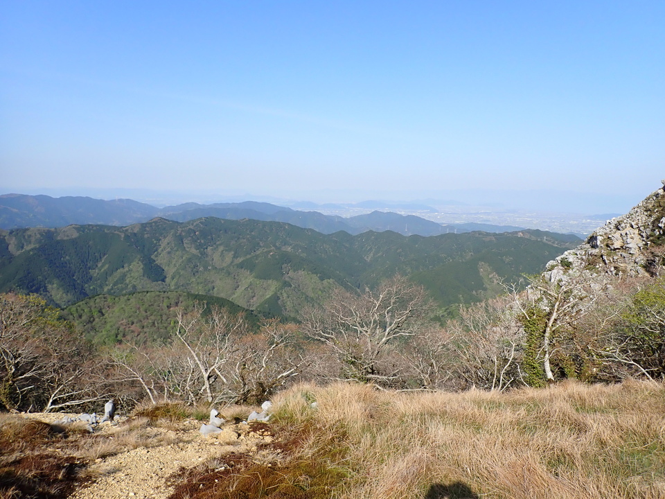 P5050630_mid.jpg