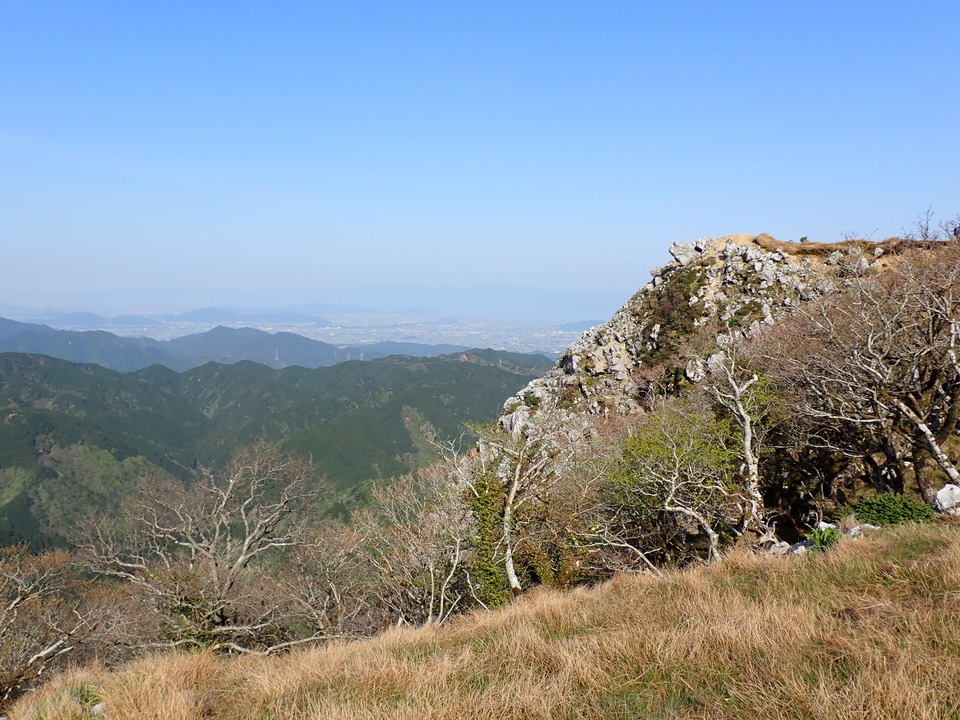 P5050631_mid.jpg