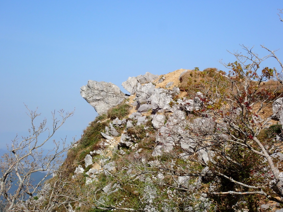 P5050635_mid.jpg