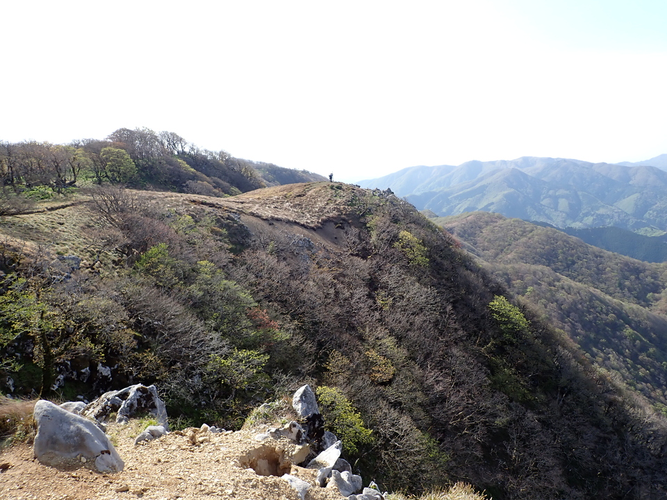 P5050637_mid.jpg