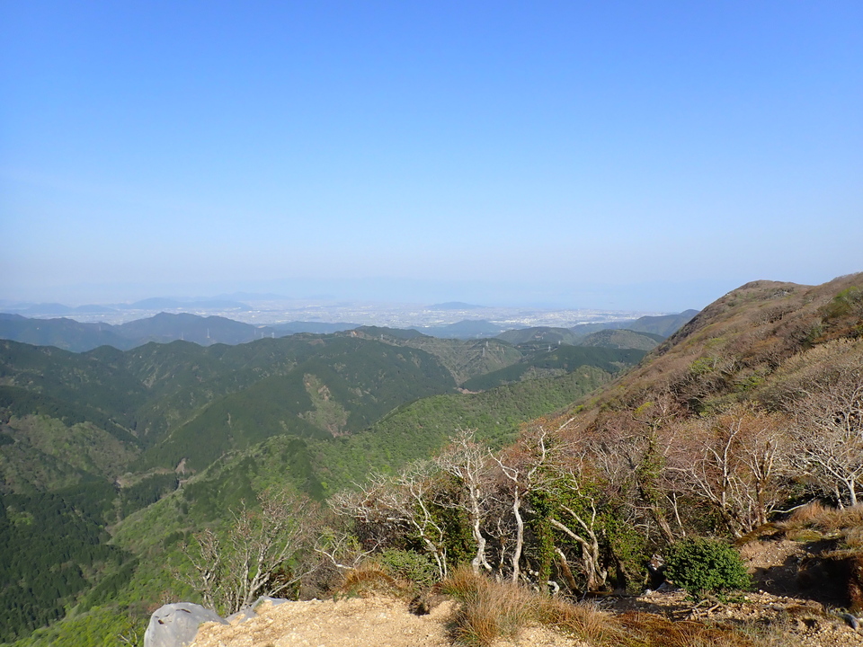P5050642_mid.jpg