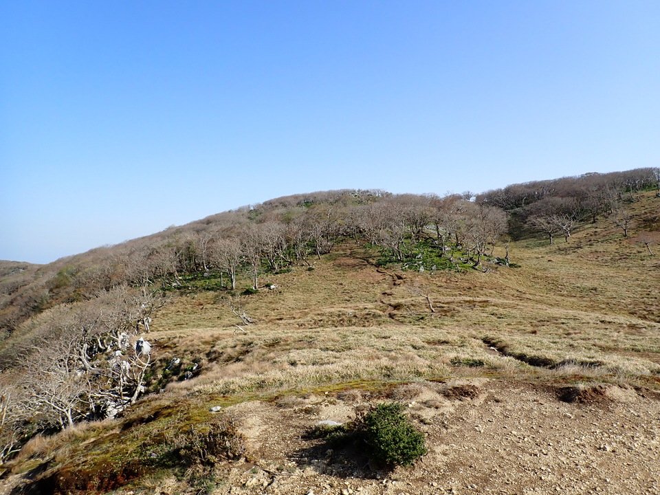 P5050644_mid.jpg