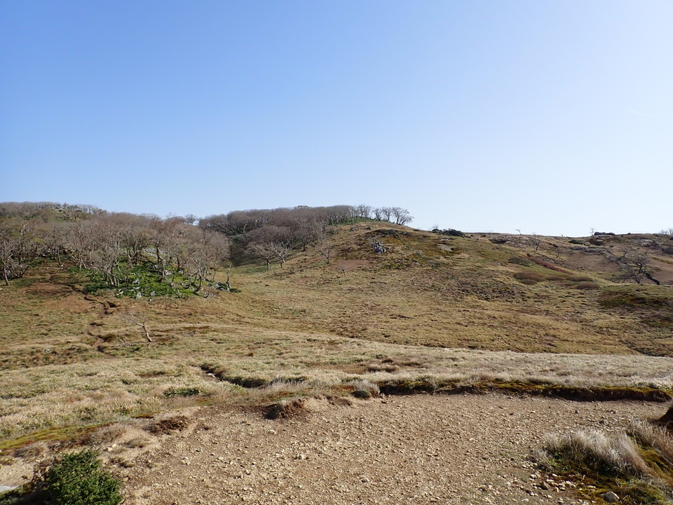 P5050645_mid.jpg