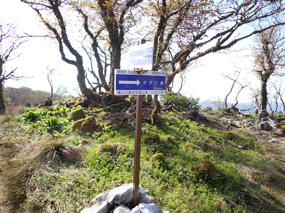 P5050646_mid.jpg