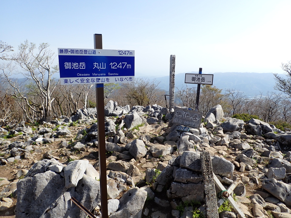 P5050650_mid.jpg