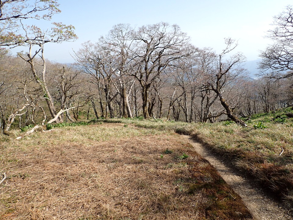 P5050654_mid.jpg