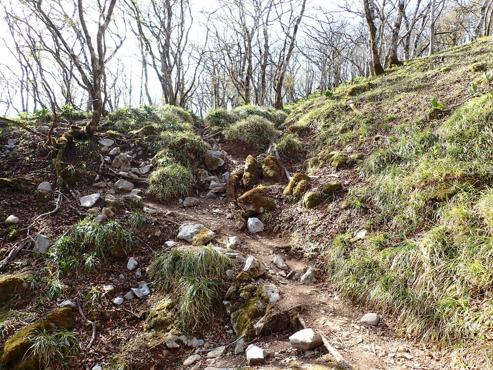 P5050659_mid.jpg