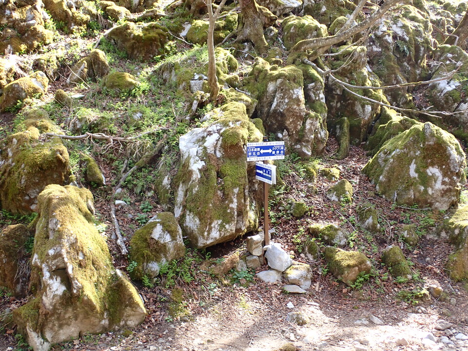 P5050671_mid.jpg