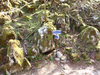 P5050671_thumb.png