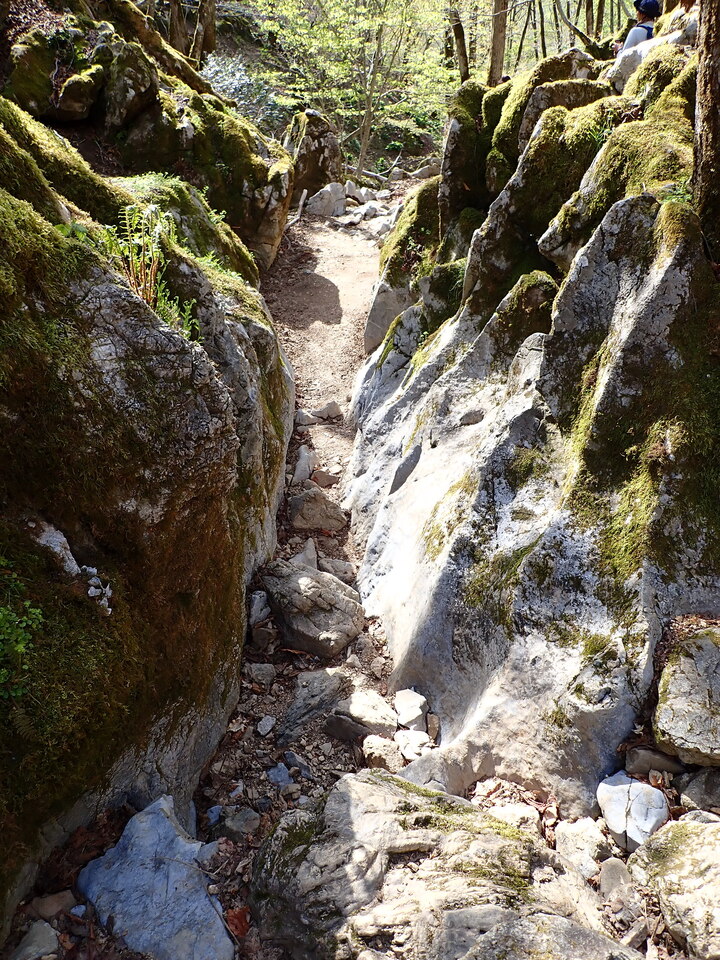 P5050676_mid.jpg