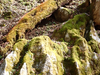 P5050684_thumb.png