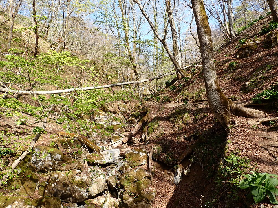 P5050688_mid.jpg